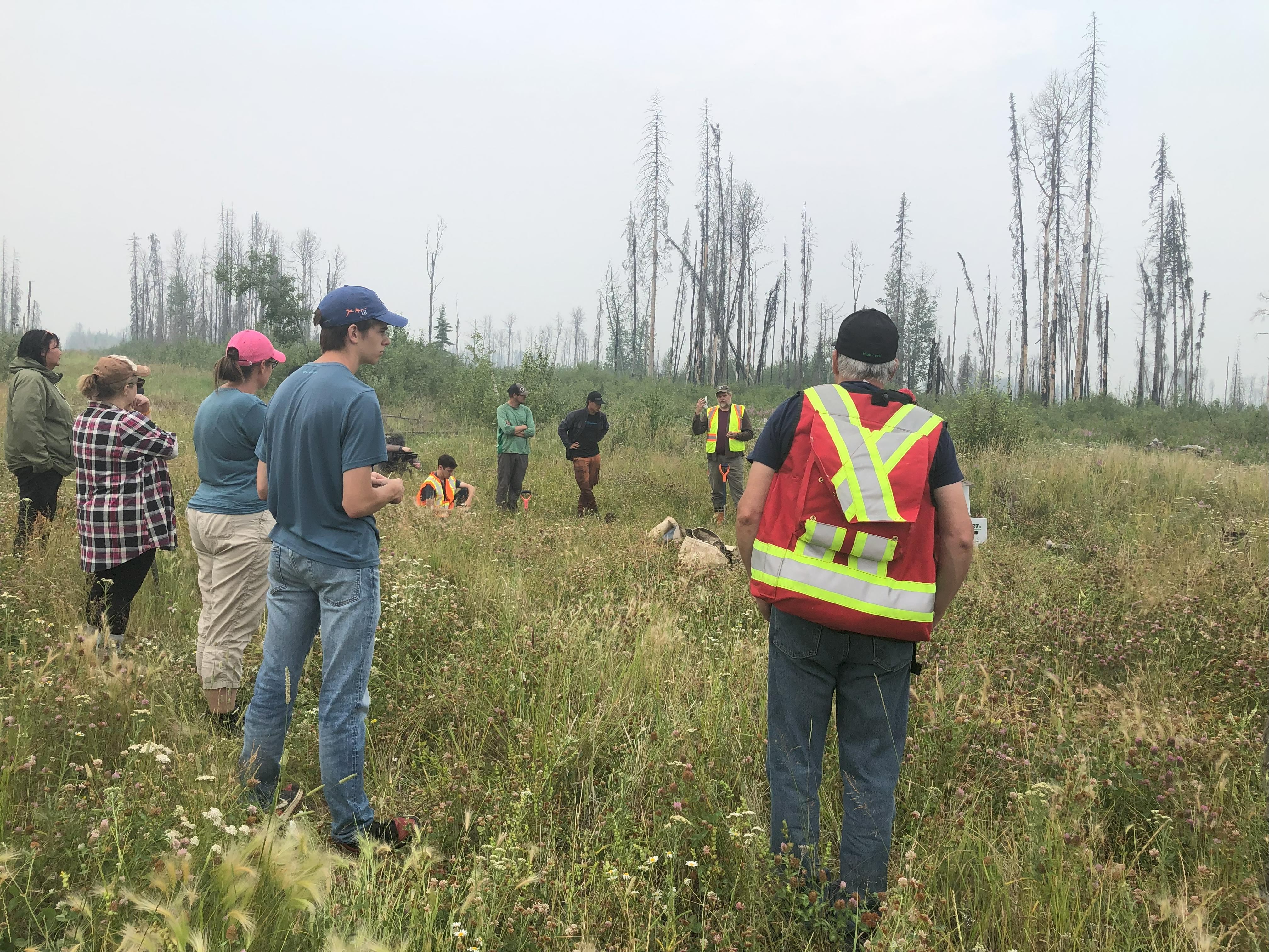 Forest landscape representing the connection to the land